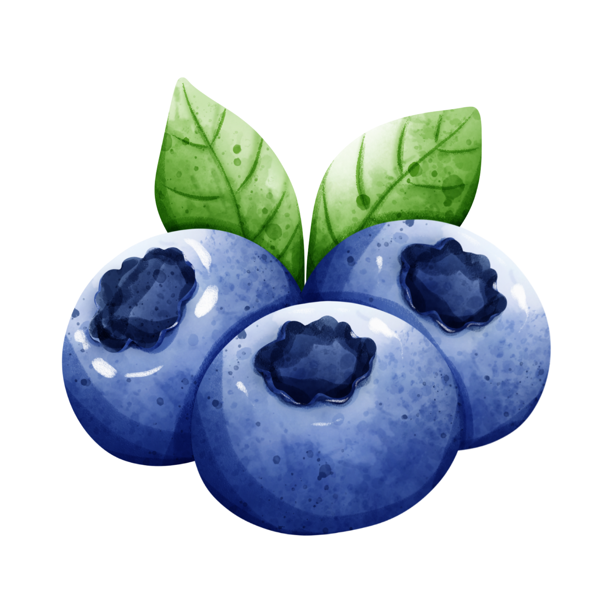 Wild Blueberries