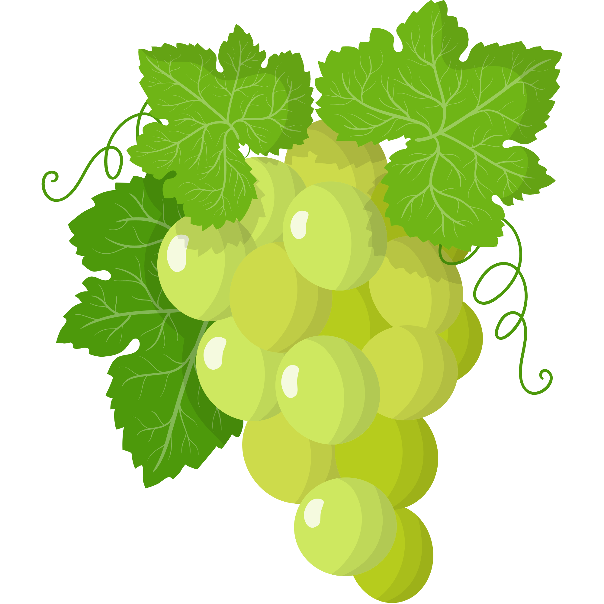 Grape Pomace